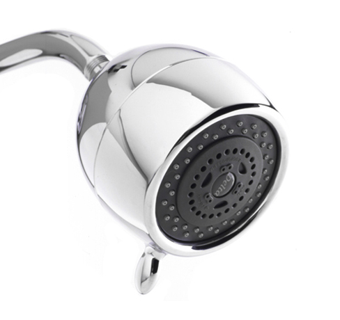 Michael Graves Delta Faucet Shower Head